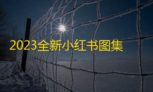 暗区突围pc农场地图2023全新小红书图集和视频解析去水印网站源码